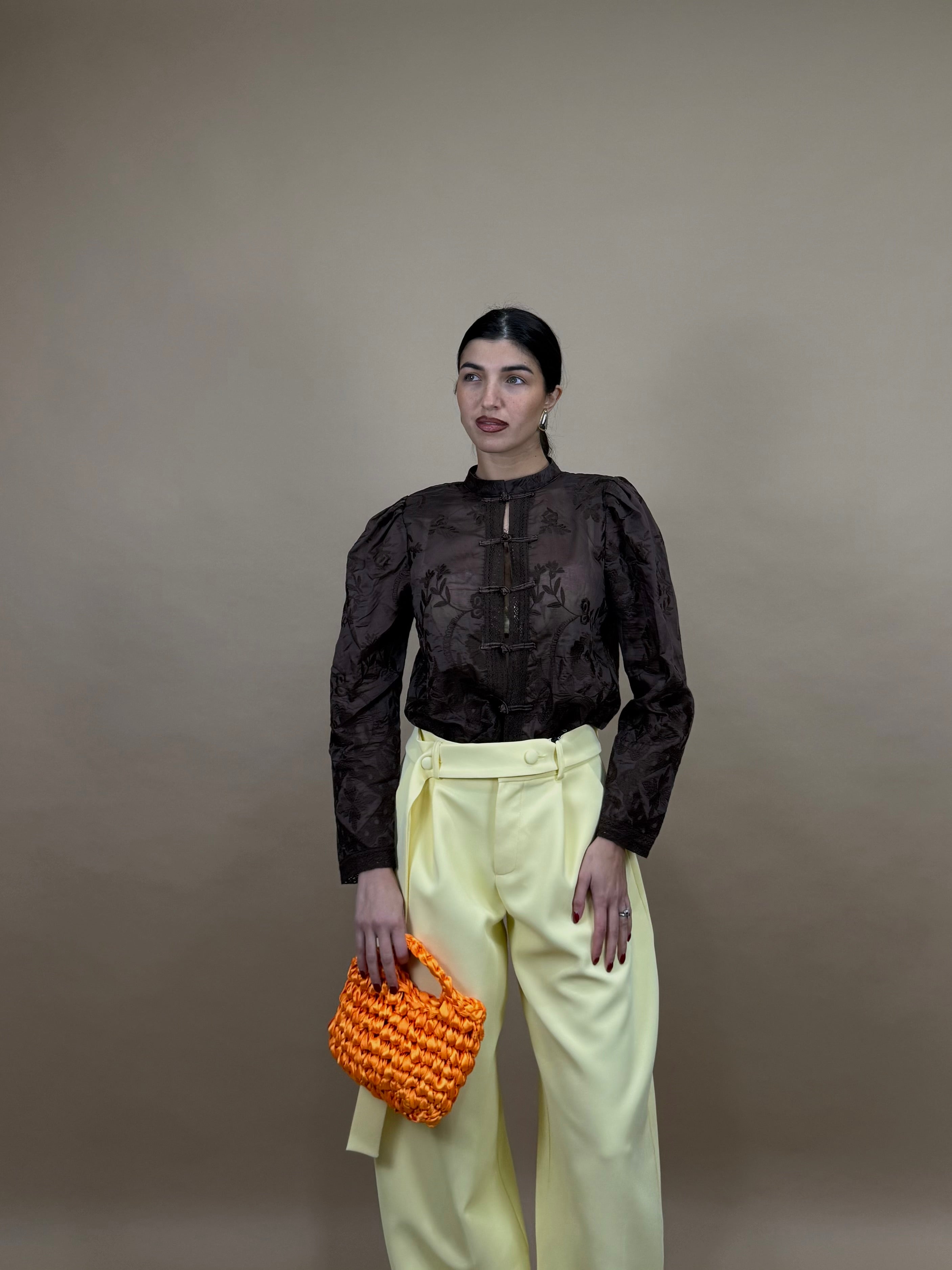 Camicia Coreana marrone