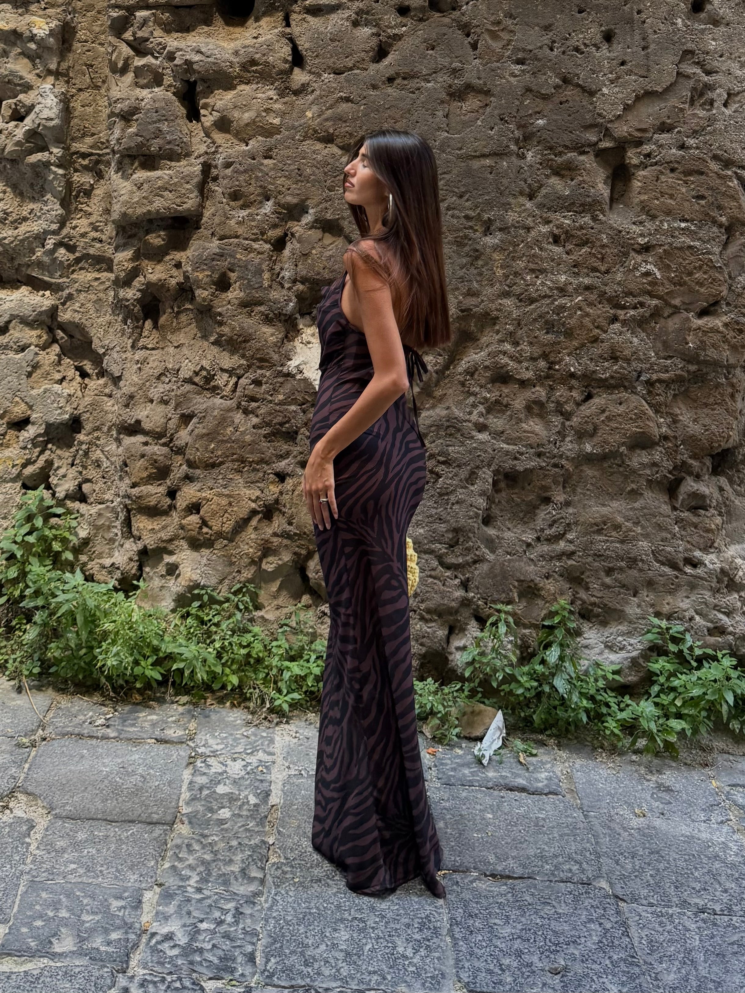 Dress Cavalli Animalier marrone - LadyB Shop Online