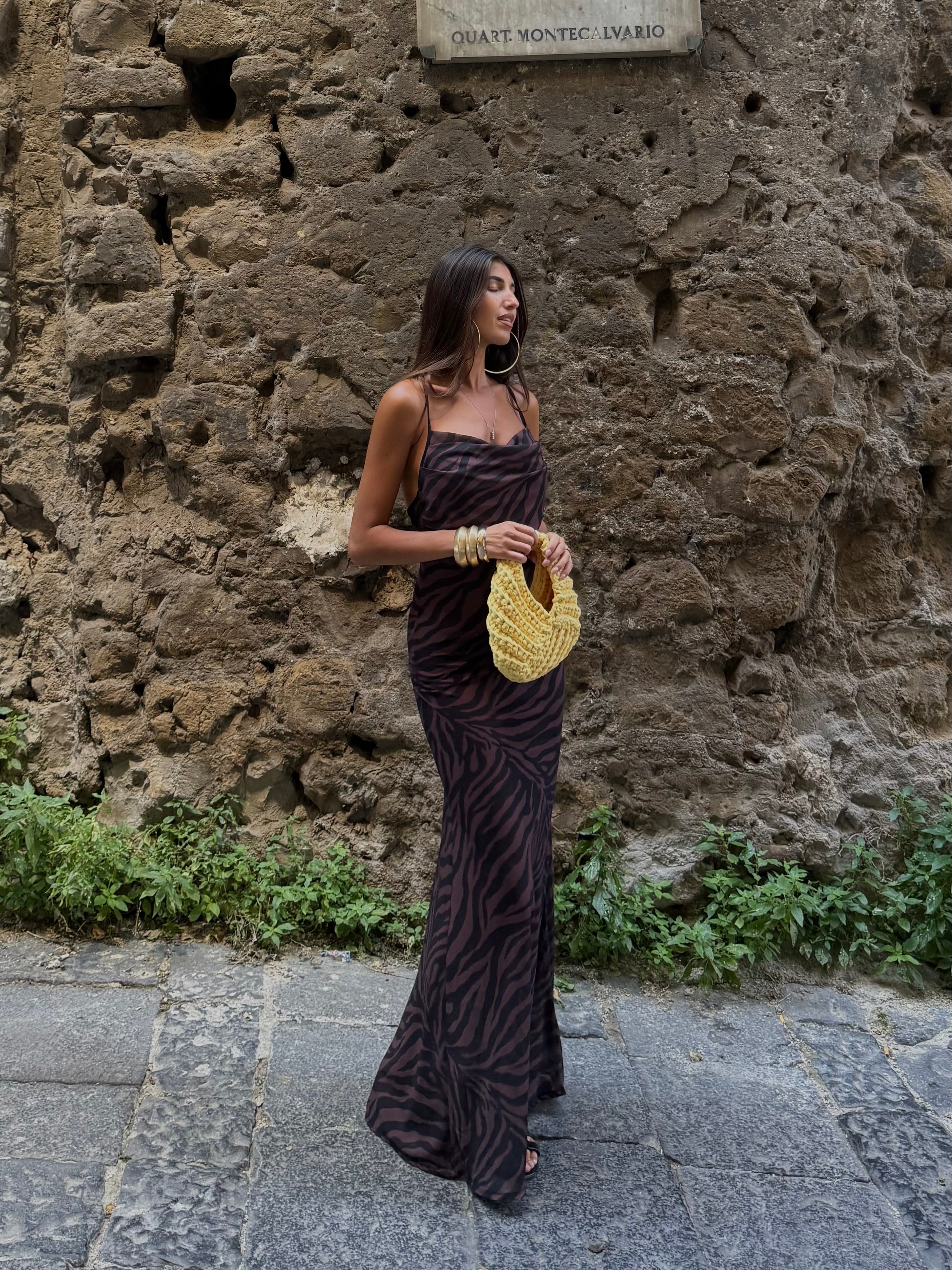 Dress Cavalli Animalier marrone - LadyB Shop Online