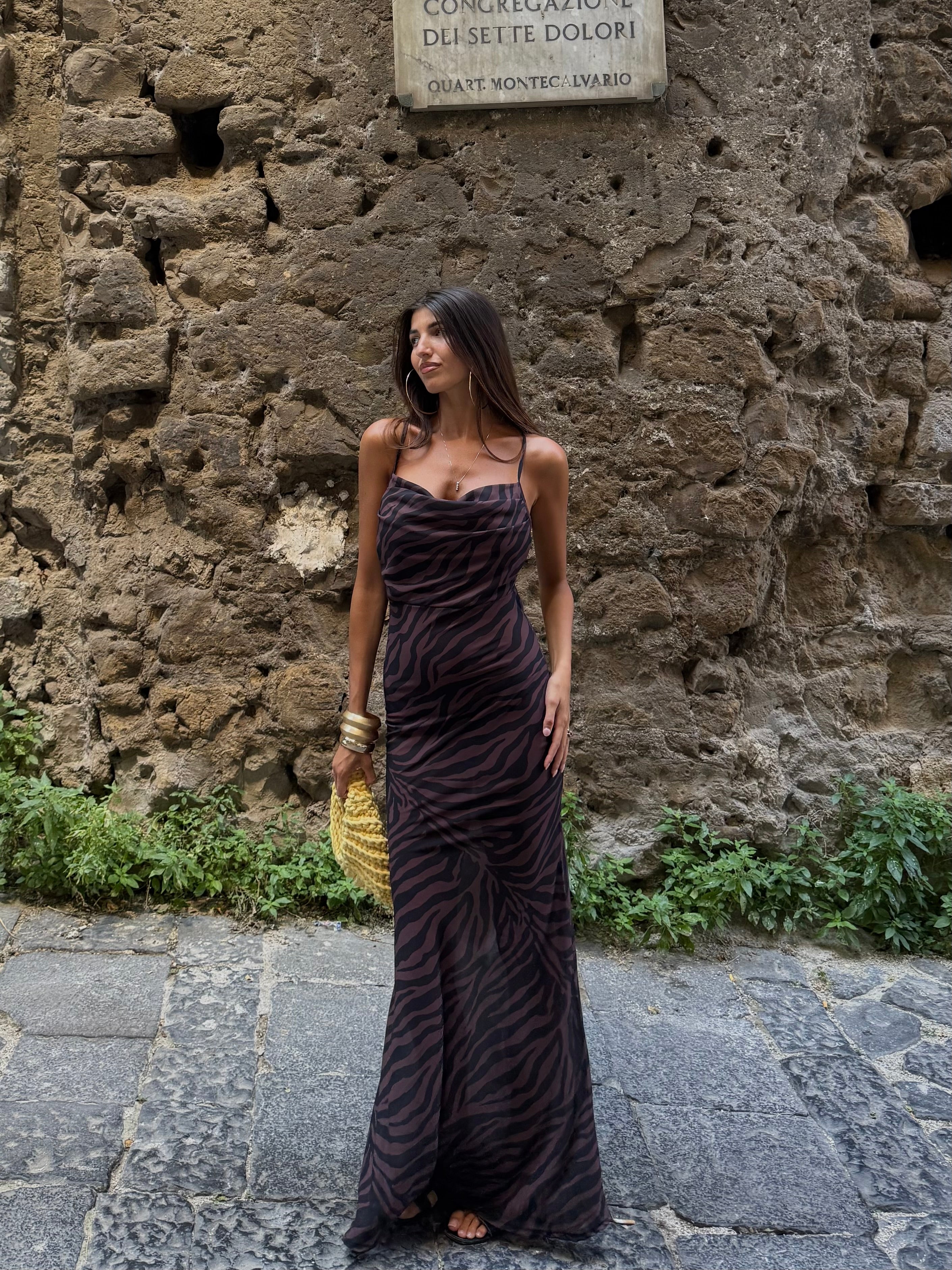 Dress Cavalli Animalier marrone - LadyB Shop Online